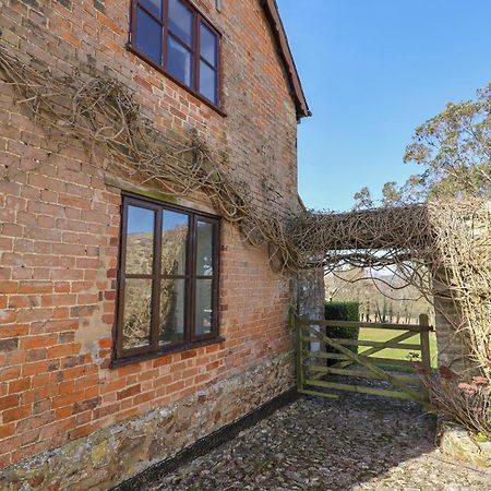 Vine Cottage Musbury 外观 照片