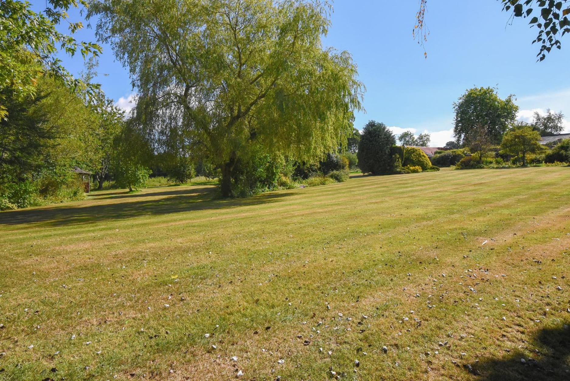 Vine Cottage Musbury 外观 照片